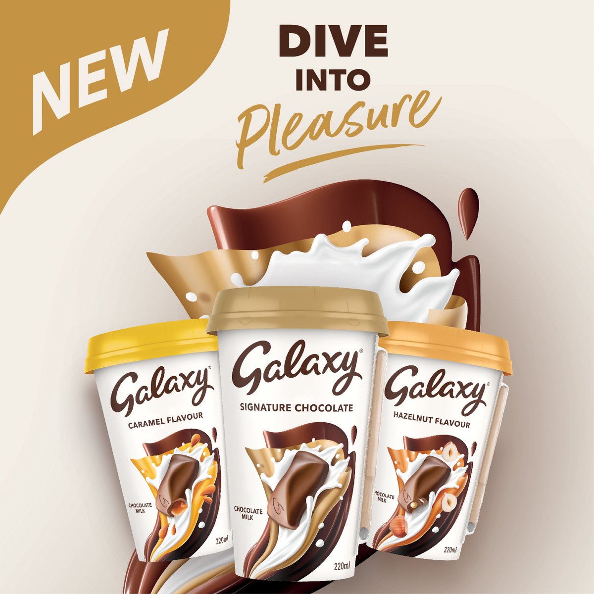 Galaxy Chocolate Milk Drink Hazelnut Flavour 220 ml