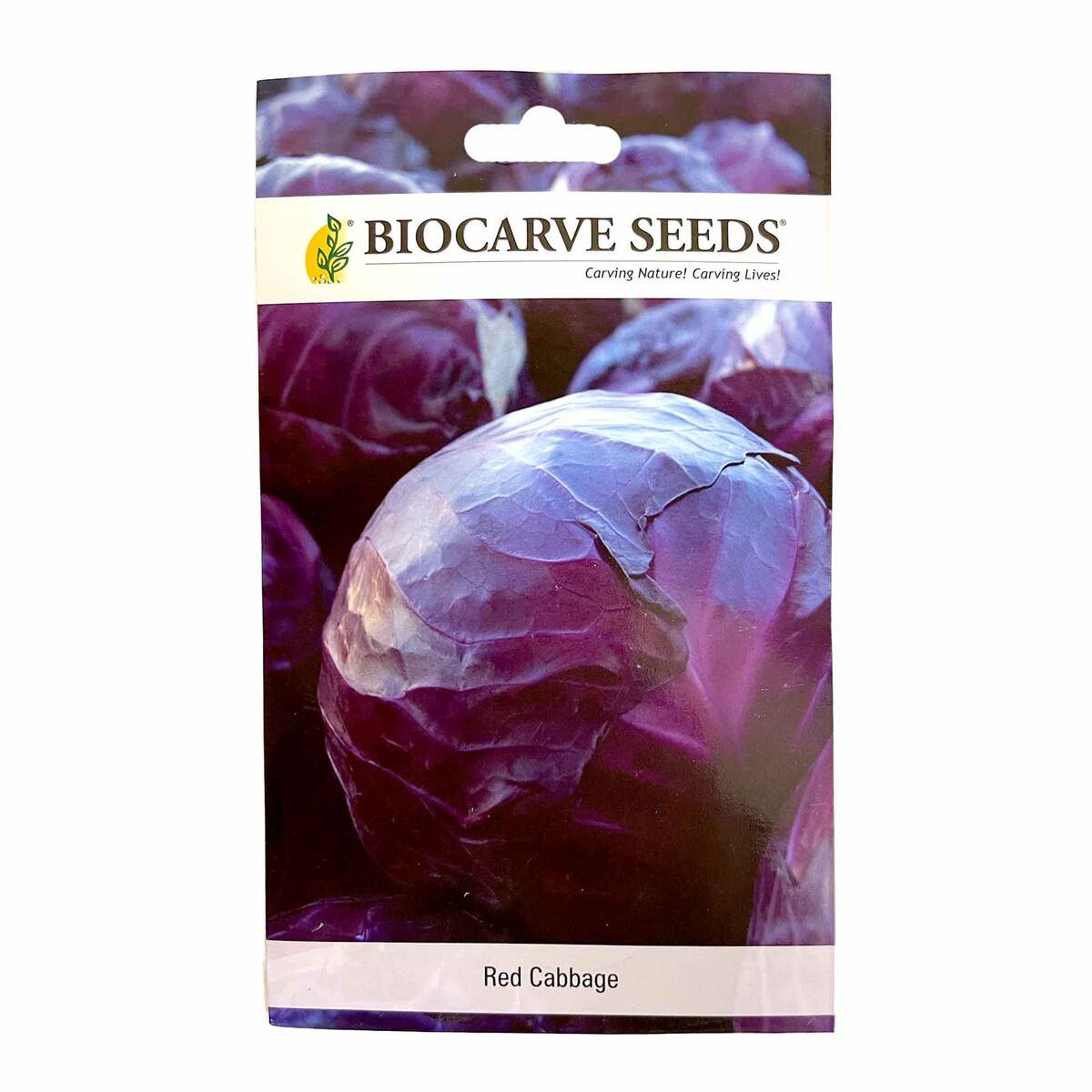 Biocarve Seeds Red Cabbage Seeds