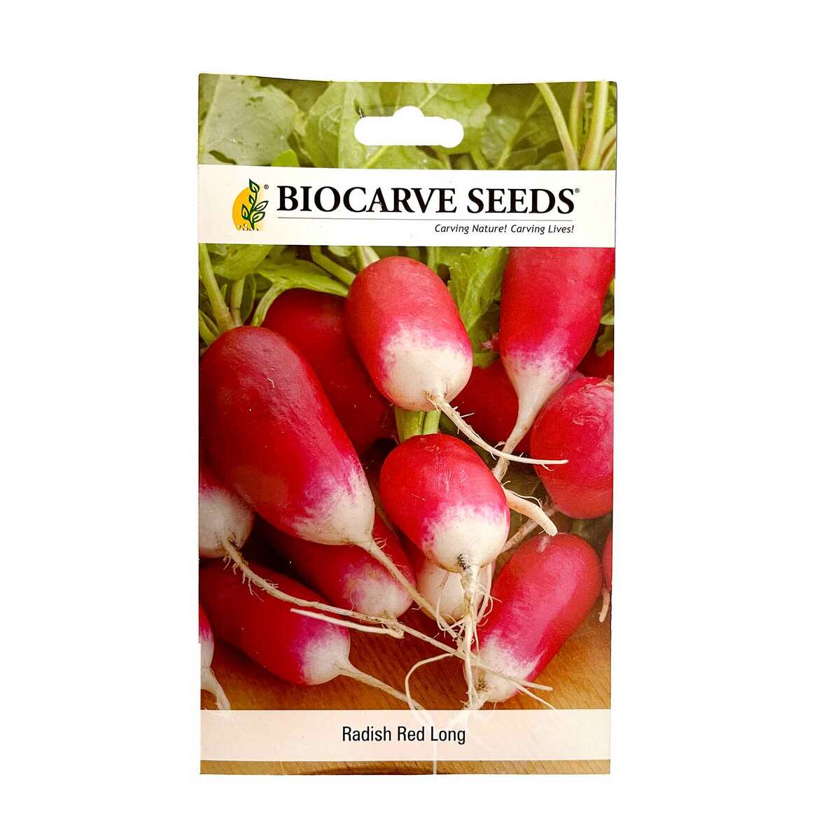 Biocarve Seeds Radish Red Long Seeds