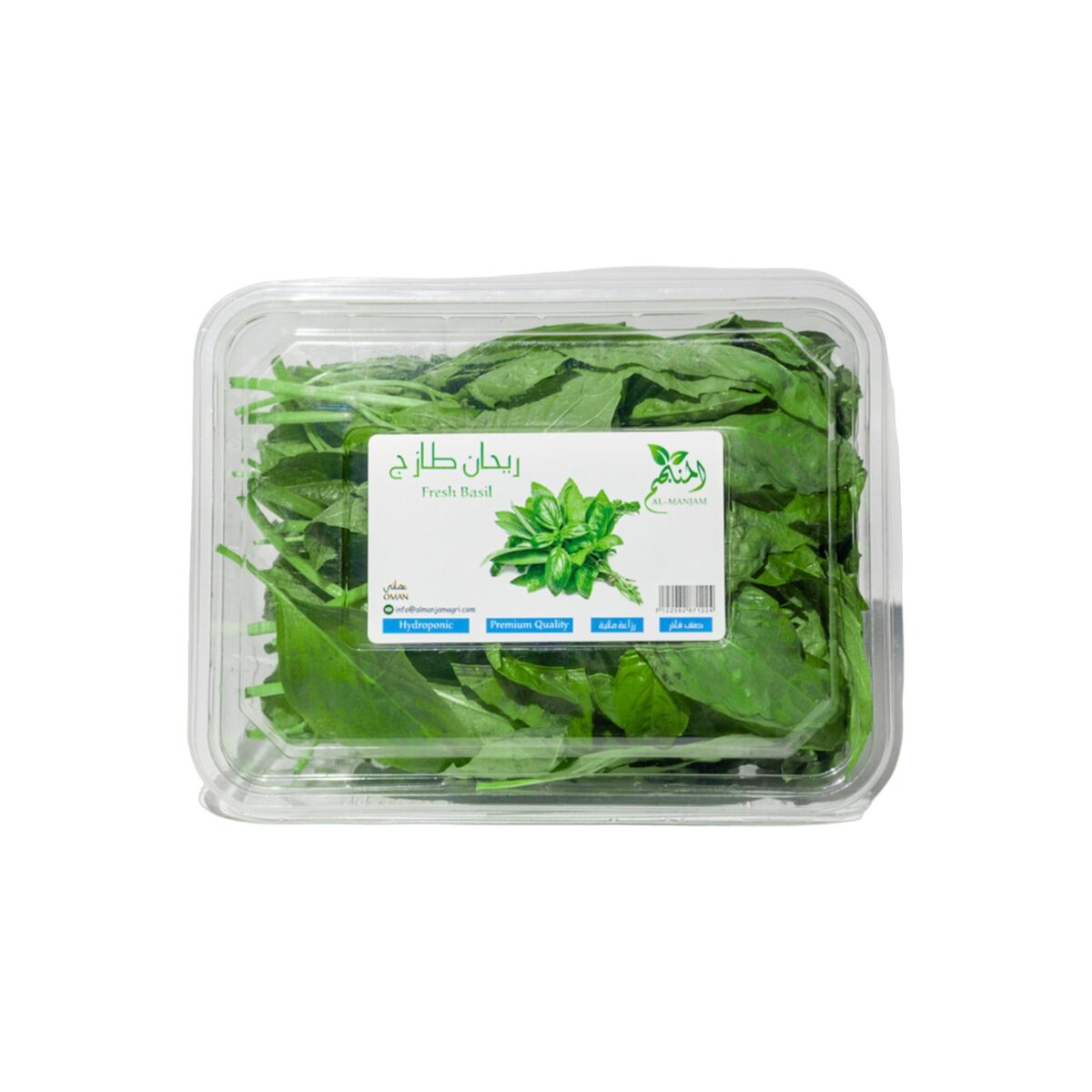 Fresh Basil Leaves Hydroponic 1 pkt Online at Best Price Local