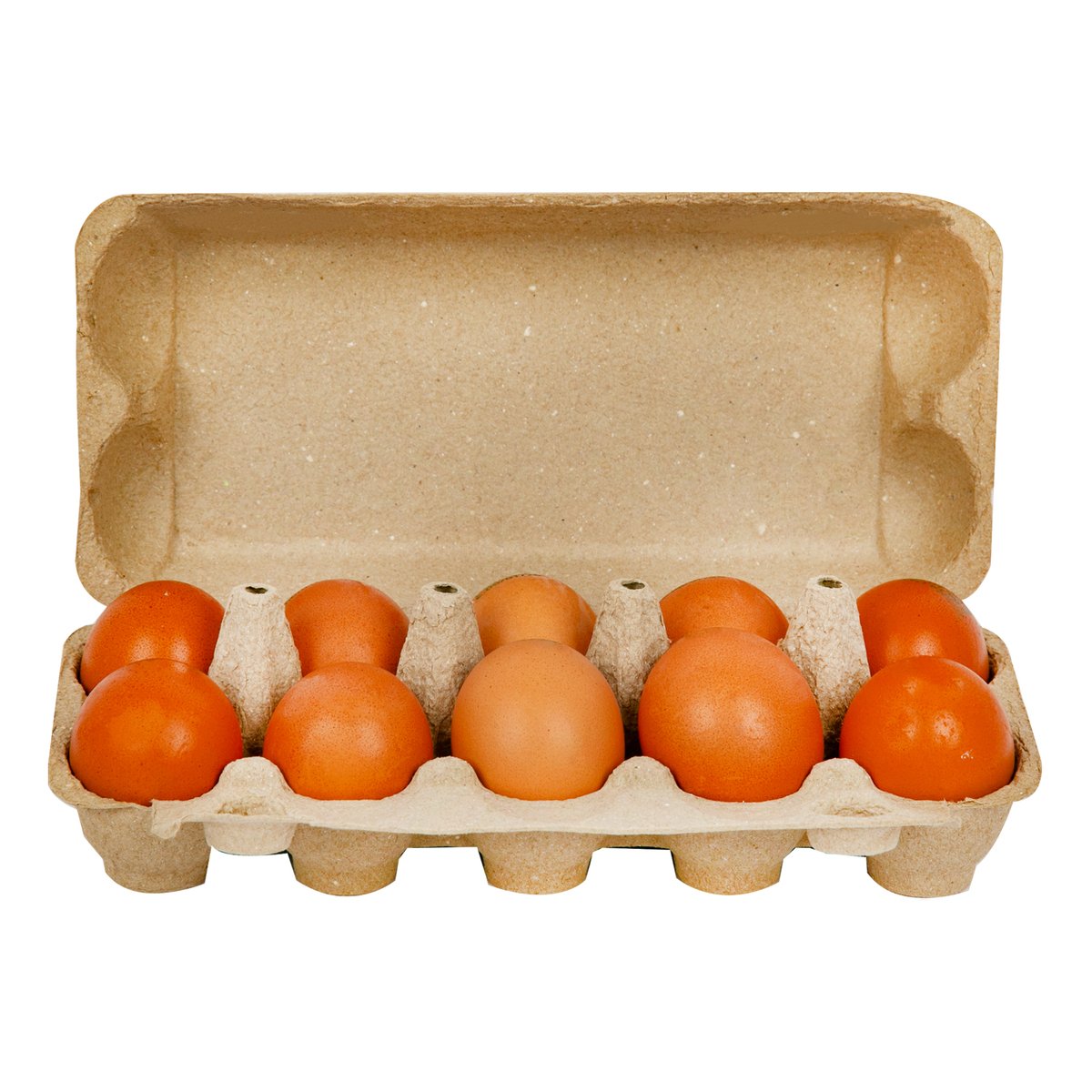 Risha Organic Brown Eggs Medium 10 pcs