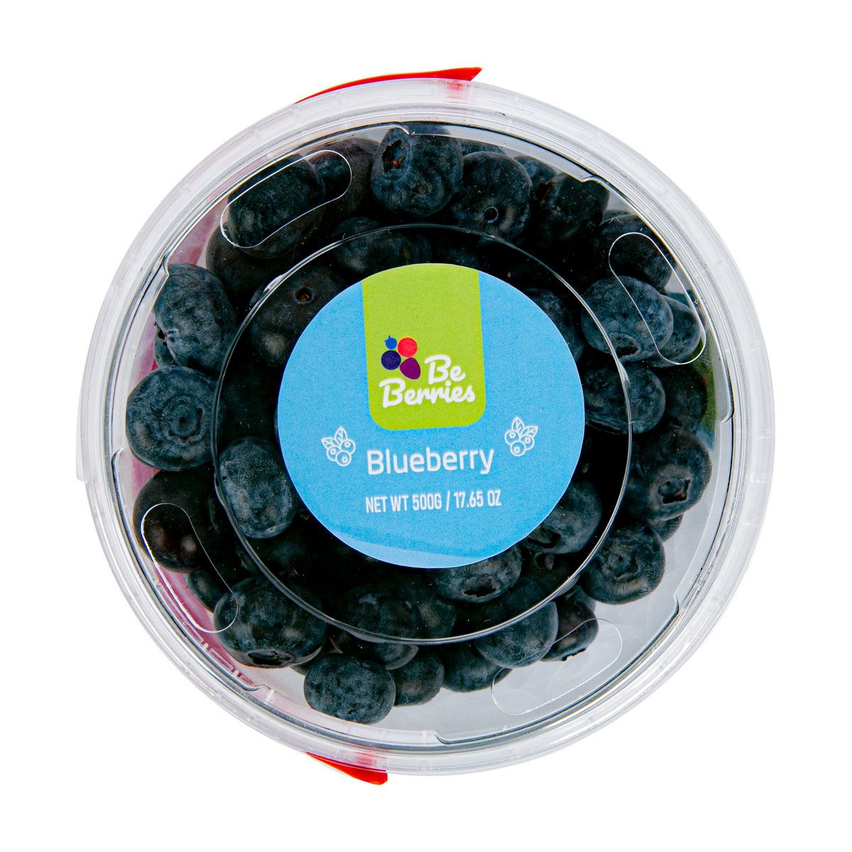 Blueberry Bucket 500 g