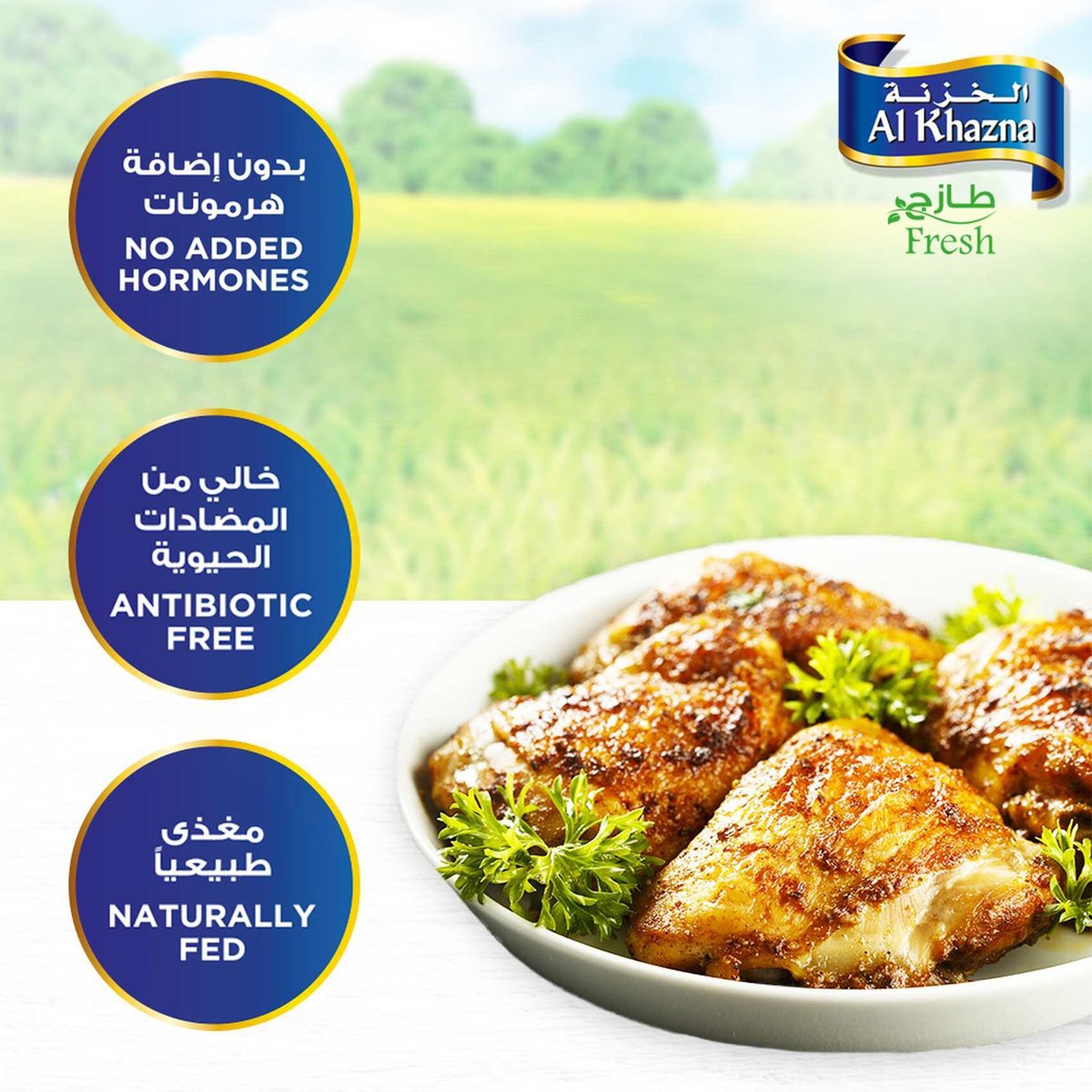 Al Khazna Fresh Chicken Thigh 1 kg