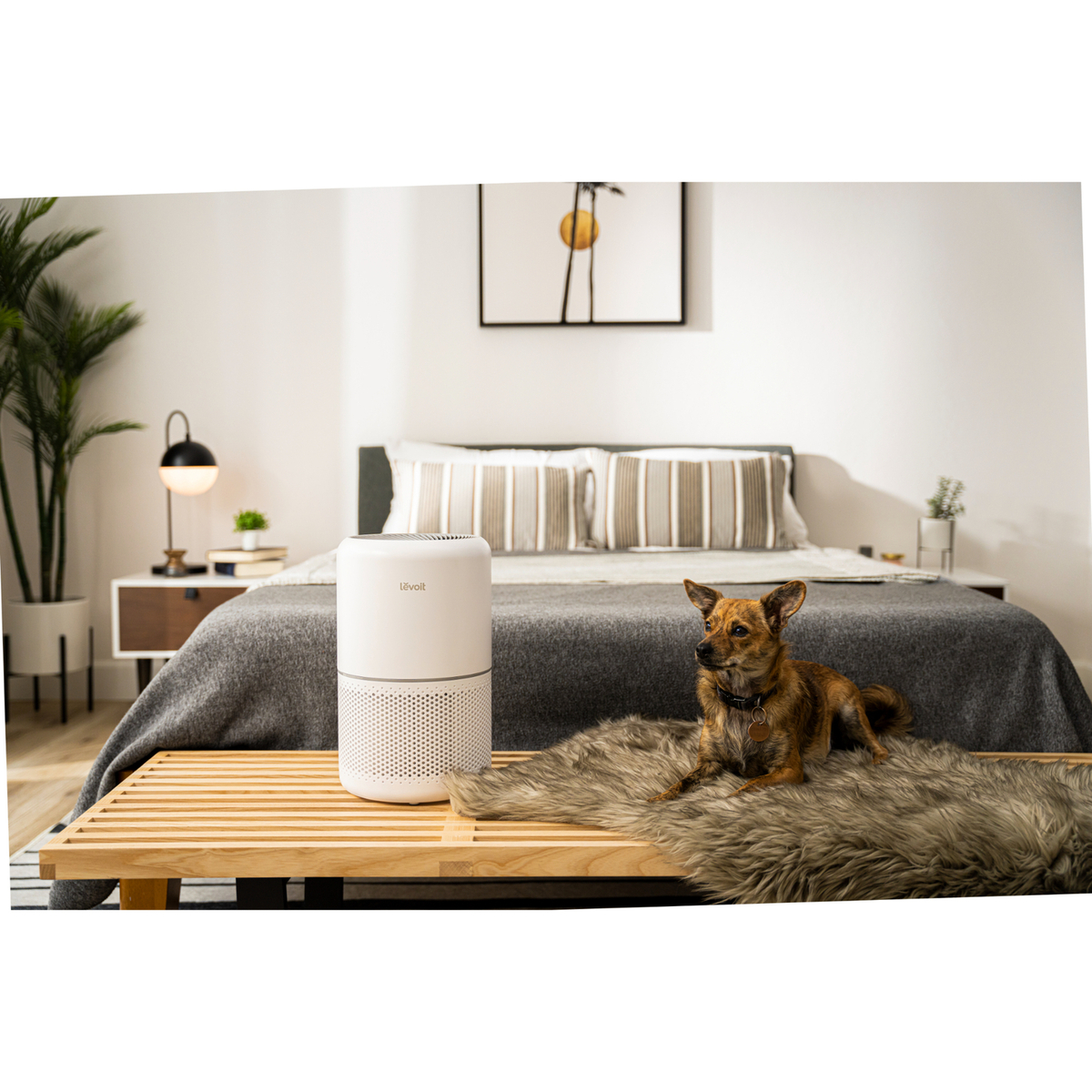 Levoit Smart Air Purifier, 50m² Room Coverage, White, Core 300S