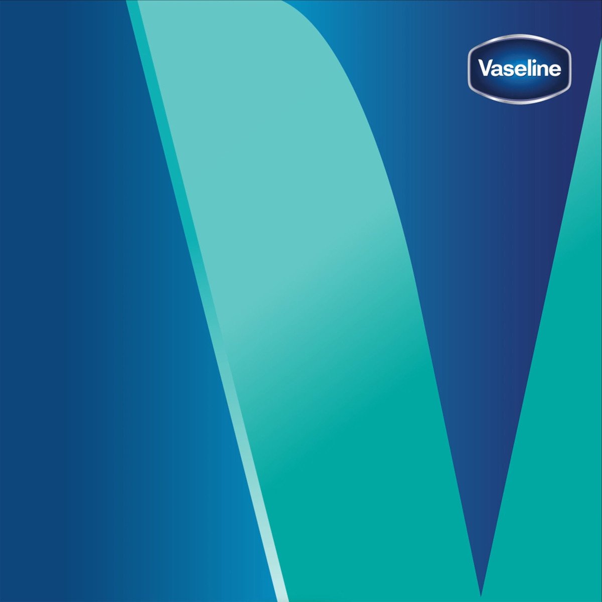 Vaseline Mint Lip Care 4.8 g