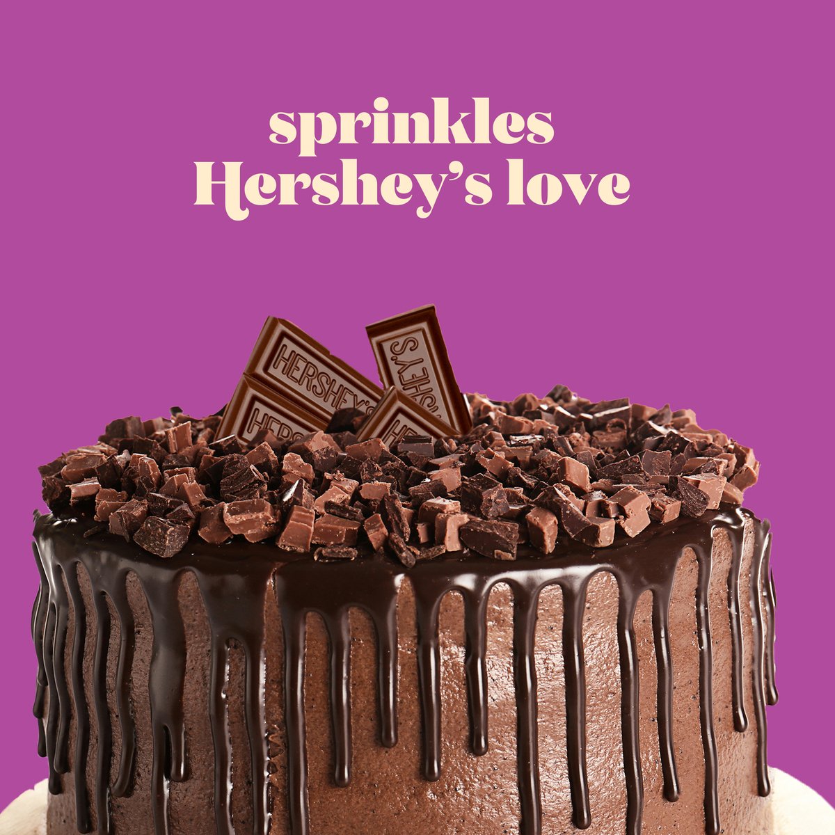 Hershey's Creamy Milk Chocolate 40 g