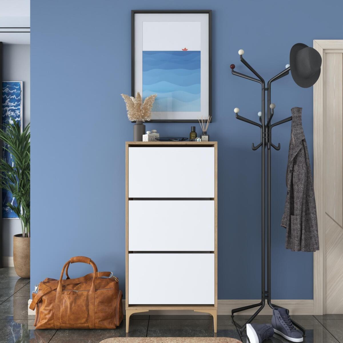 Home Canvas Otto Shoe Cabinet Walnut and White RM2814