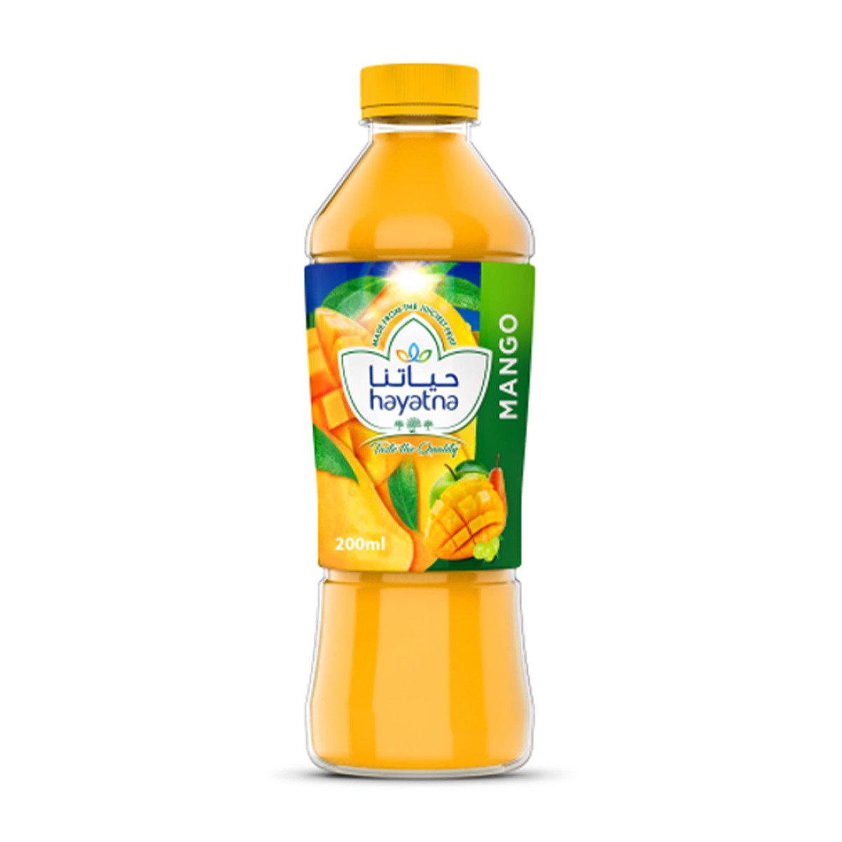 Hayatna 100% Pure Mango Nectar Juice 200 ml