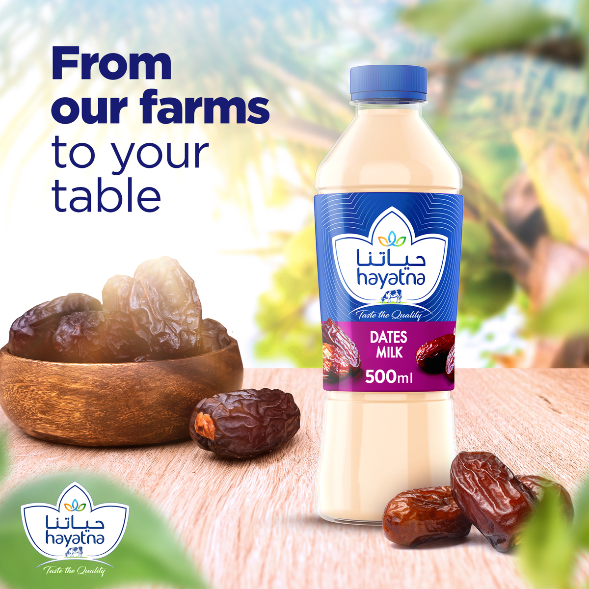 Hayatna Dates Flavoured Milk 500 ml