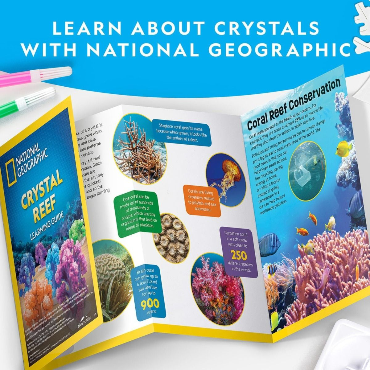 National Geographic Crystal Reef, RTCRYSHABINT