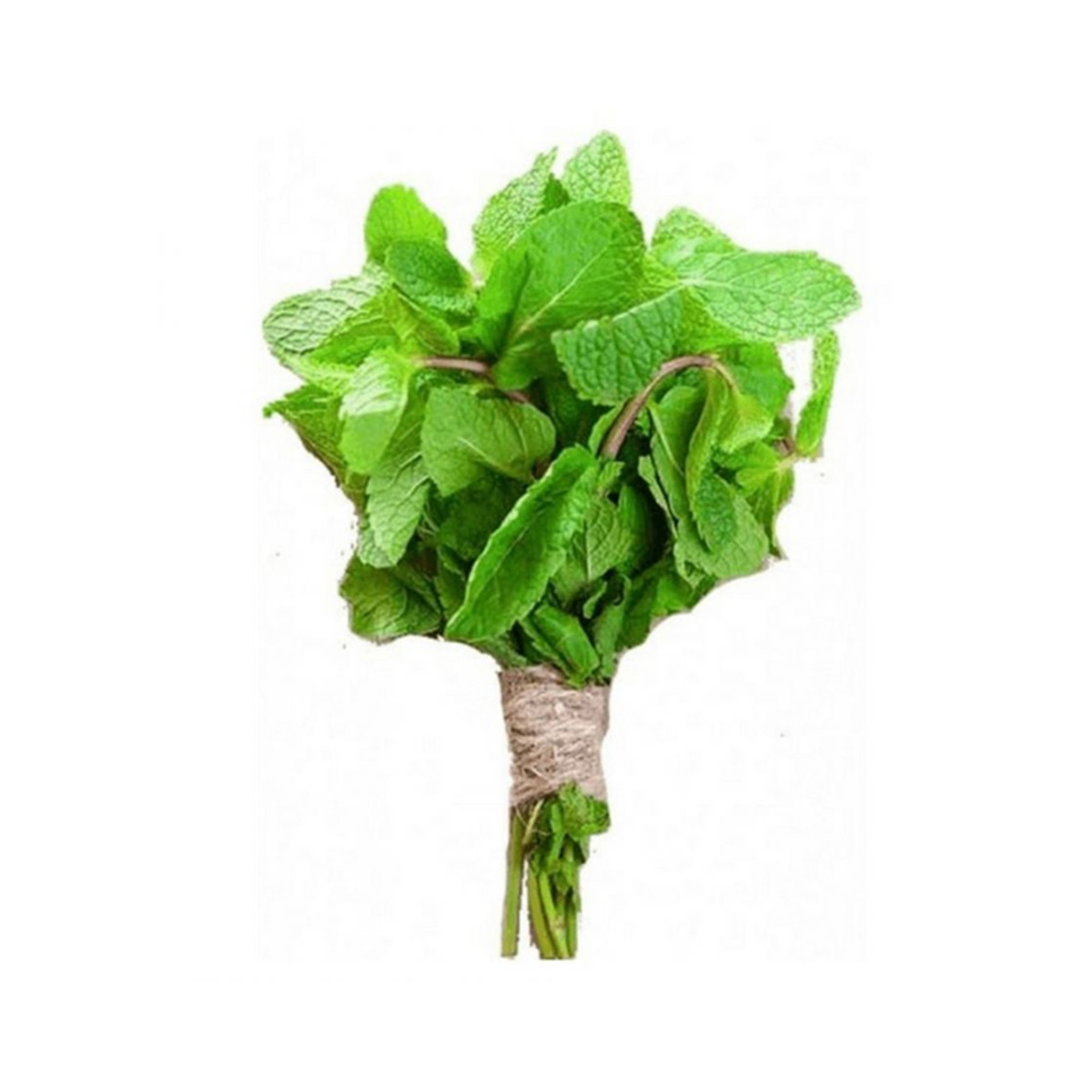 Fresh Mint Leaves, Jordan, 100 g