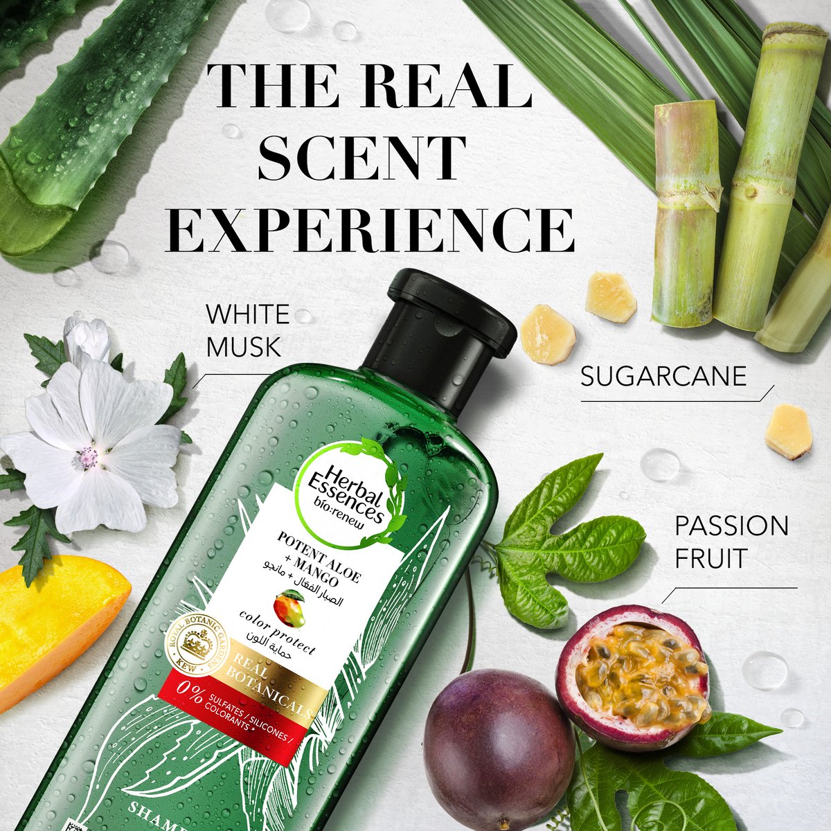 Shampoo Herbal Essences Bio Renew 6X Aloe & Mango x 400 ml