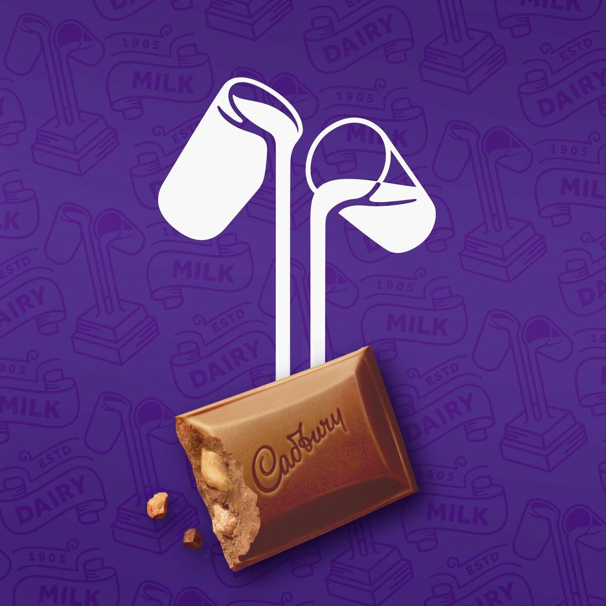 Cadbury Dairy Milk Hazelnut Chocolate 227 g