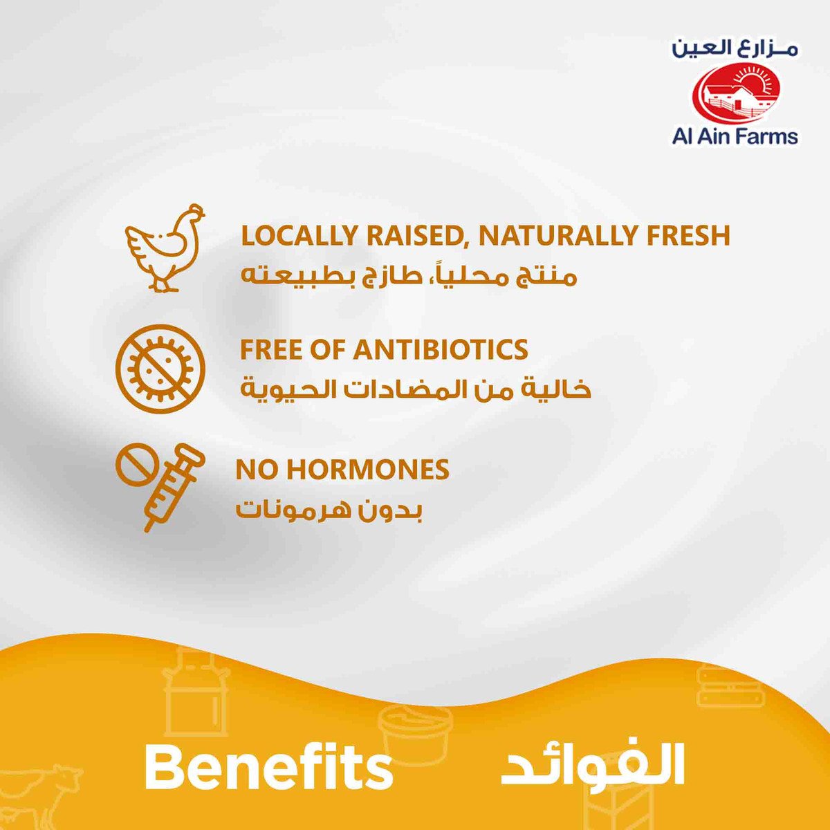 Al Ain Fresh Chicken Breast Fillet 500 g