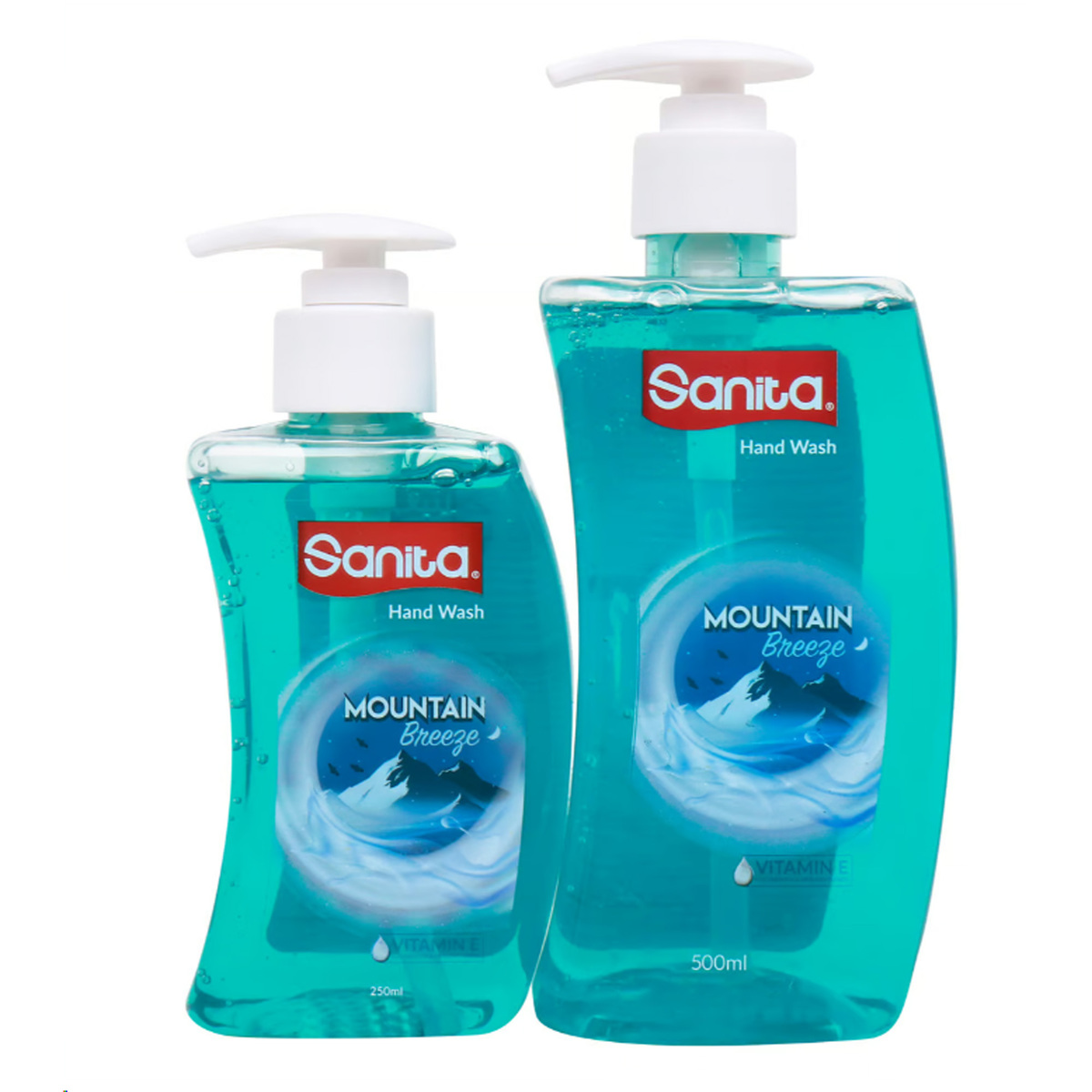 Sanita Hand Wash Assorted 500 ml + 250 ml