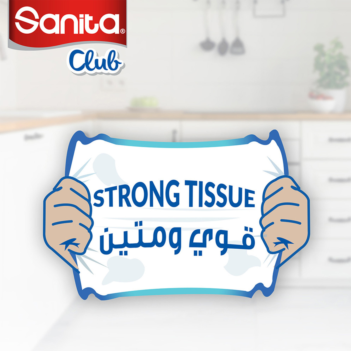 Sanita Club Household Kitchen Towels 8 + 2 Rolls