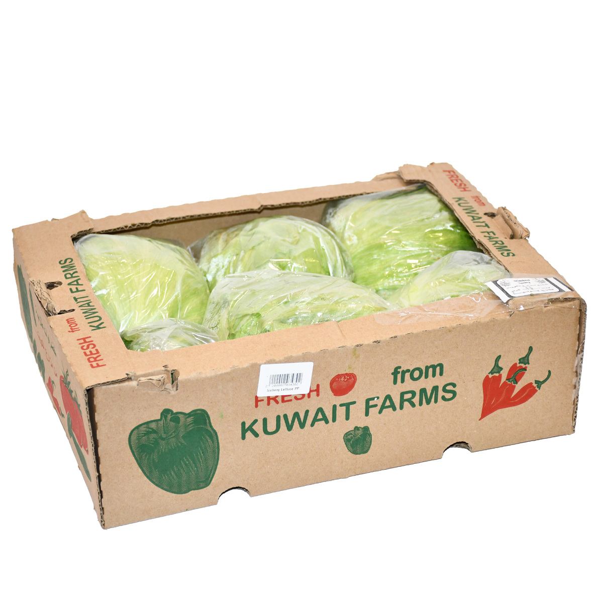 Iceberg Lettuce 2.4 kg