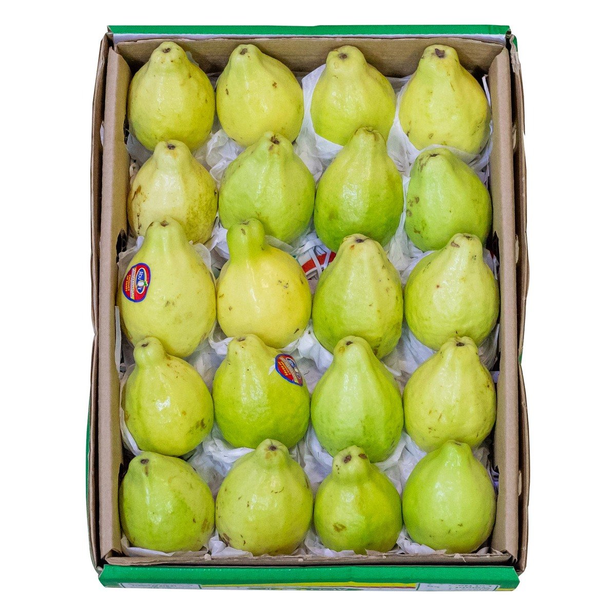 Guava Egypt 1.5 kg