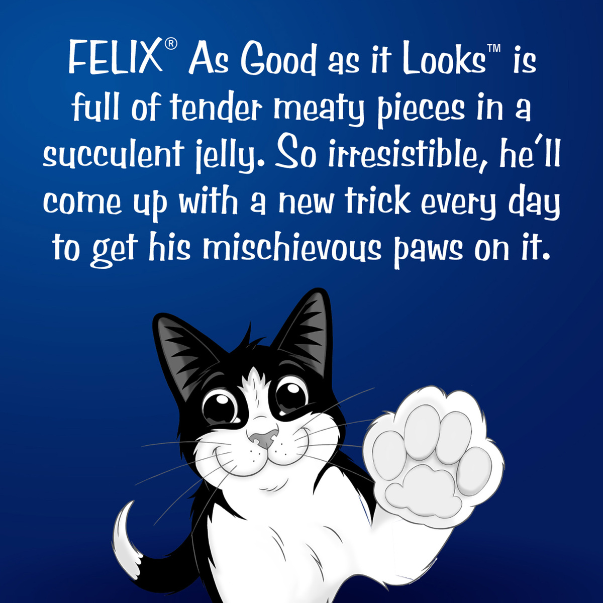 Purina Wet Cat Food Felix As Good As It Looks Tuna In Jelly 85 g