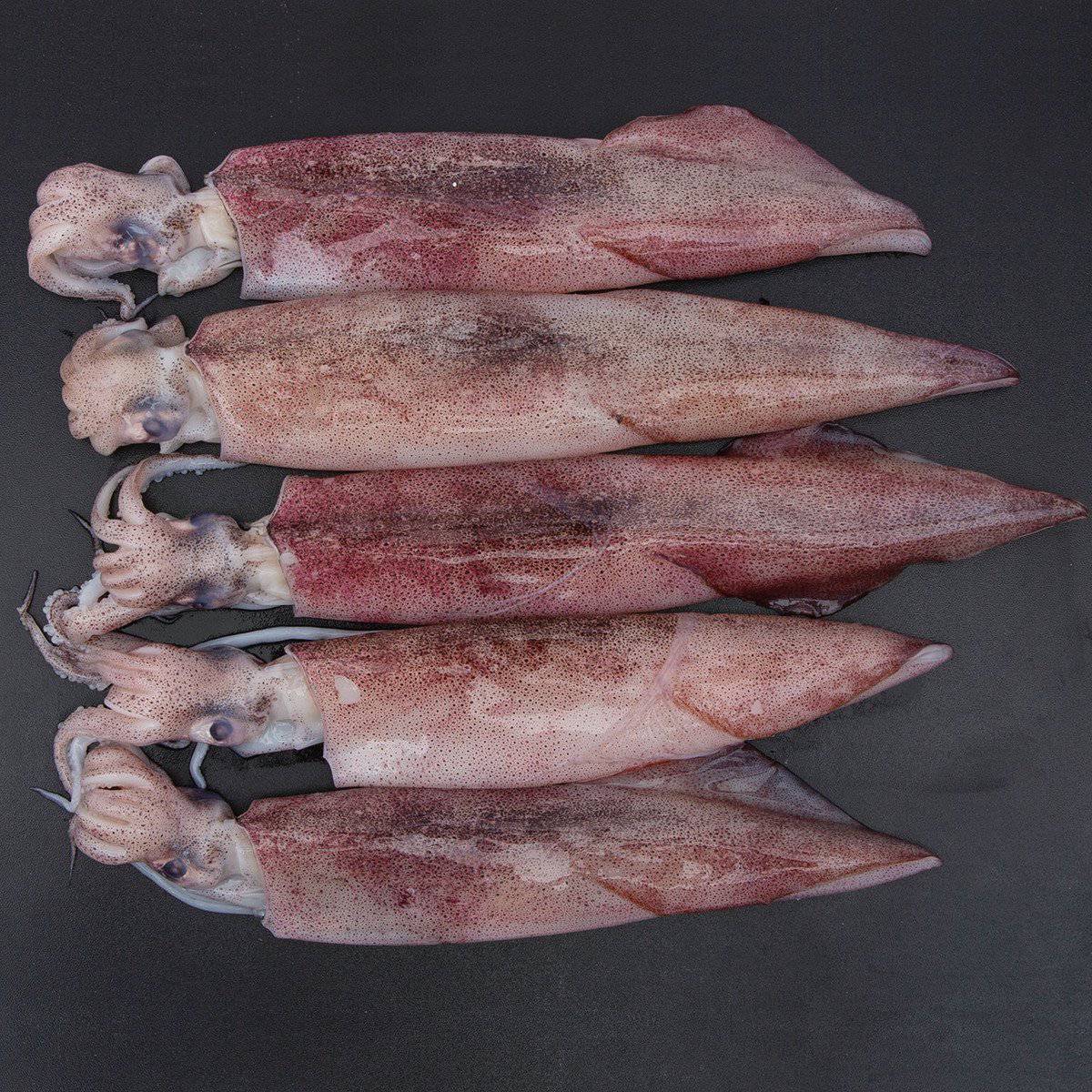 Fresh Squid 500 g