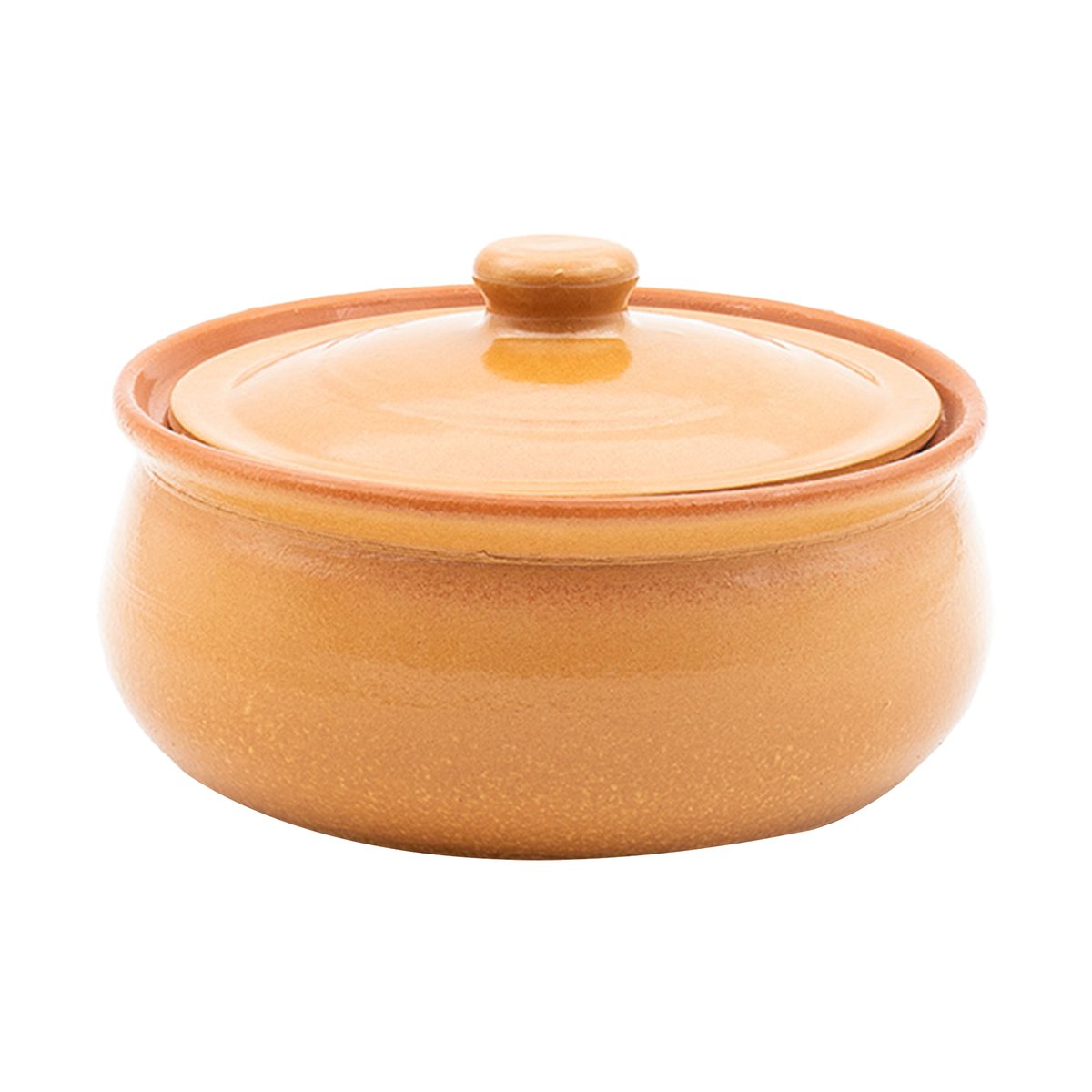 Corzana Clay Biriyani Pot with Lid, 15 cm, SOPET15