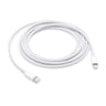 Apple USB-C to Lightning Cable (2 m)-MKQ42ZM/A
