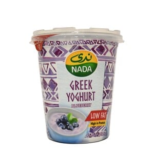 Nada Greek Yoghurt Blueberry Low Fat 360 g