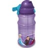 Frozen Transparent Water Bottle 112-34-1106 500ml