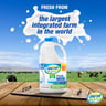 Al Safi Fresh Milk Full Fat 2.2 Litre