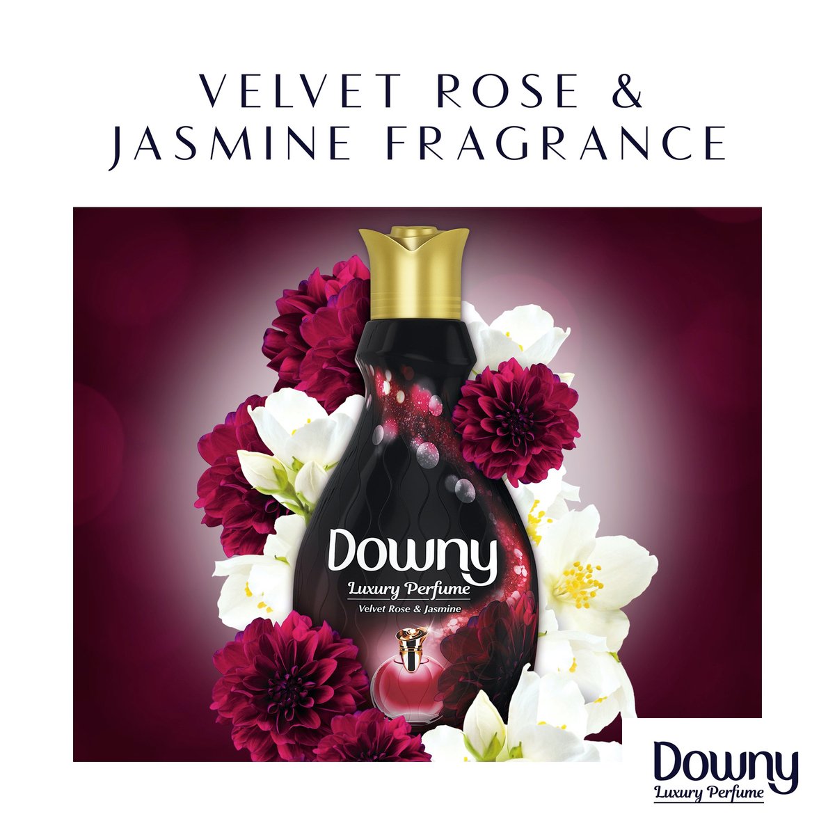 Downy Luxury Perfume Collection Concentrate Fabric Softener Velvet Rose & Jasmine Dual Pack 2 x 880 ml 