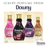 Downy Luxury Perfume Collection Concentrate Fabric Softener Velvet Rose & Jasmine Dual Pack 2 x 880 ml 