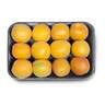 Apricot Small pkt 500 g