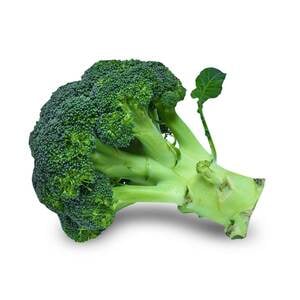 Broccoli 1 pc