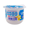 Delice Fruit Yogurt Vanilla 70g