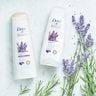 Dove Conditioner Relaxing Ritual Lavender Oil and Rosemary Extract 350 ml