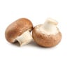 Mushroom Button Brown Qatar 1pkt