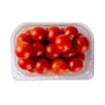 Cherry Tomato Hydroponic 1 pkt