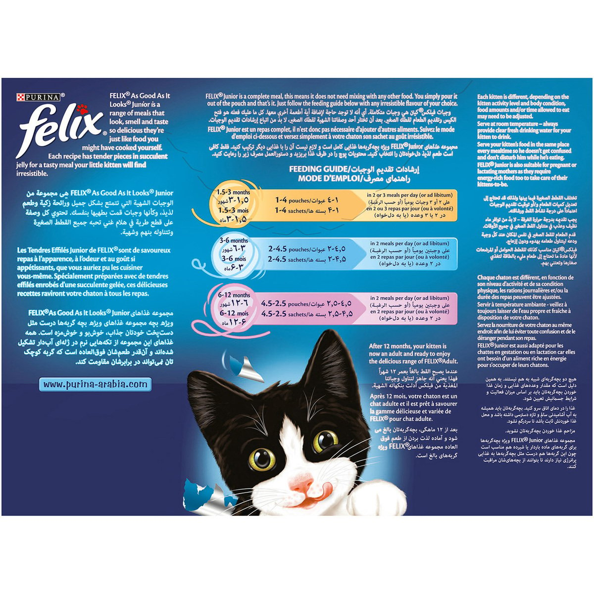 Purina Felix Junior Up to 1 Year Wet Cat Food 12 x 100 g