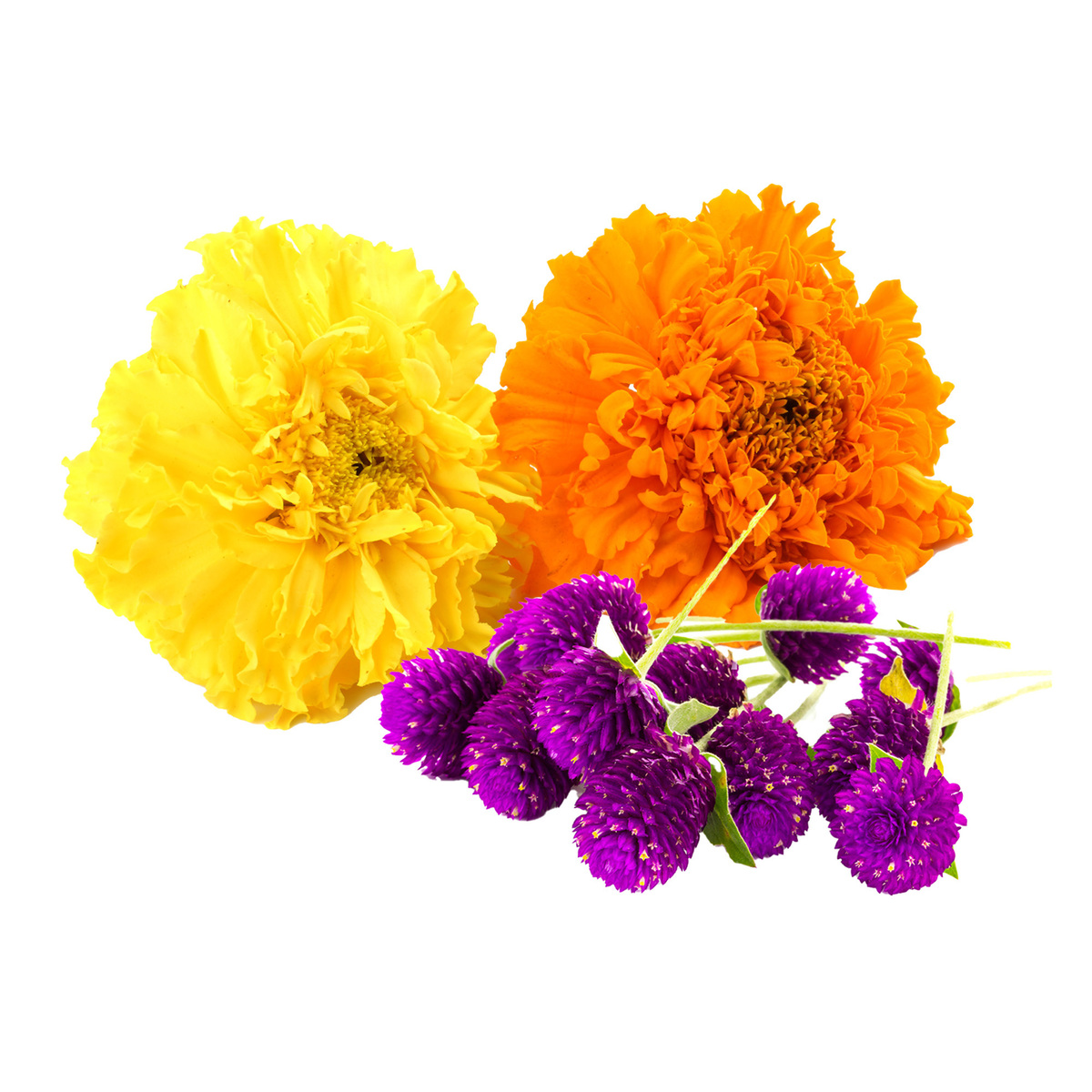 Mix Flowers 500g