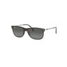 Rayban Men's Sunglass 4313 Square Matte Havana