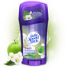 Mennen Lady Speed Stick Deodorant Antiperspirant Fresh & Essence Orchard Blossom 65 g