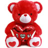 First Step Teddy Bear Plush 40 cm WS6099-2