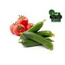 Organic Tomato + Cucumber 1pkt
