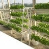 Green Sand Single Side Hydroponic Planting System 36 Holes GS04