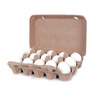 Al Bayyad Fresh Eggs 15 pcs