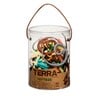 Terra and B Toys Reptiles In Tube  AN6039Z