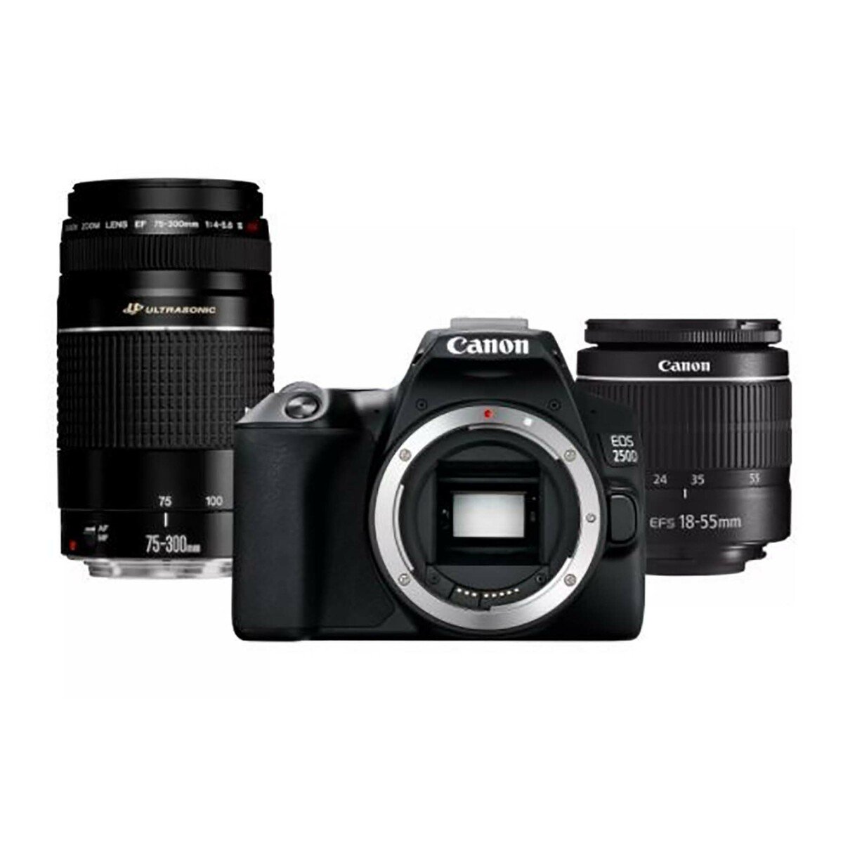 Canon DSLR Camera EOS 250D EF-S 18-55mm IS Lens Silver + 75-300mm DC ...