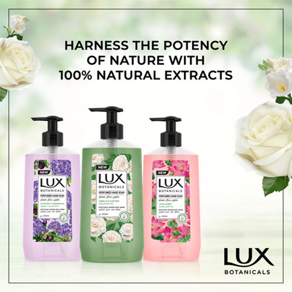 Lux Botanicals Skin Renewal Fig Extract & Geranium Oil 500ml Online at