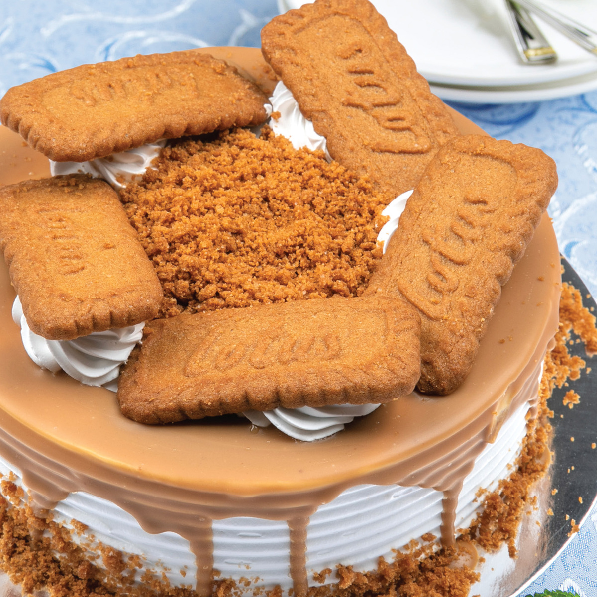 Speculoos Cream Cake Small 500 g