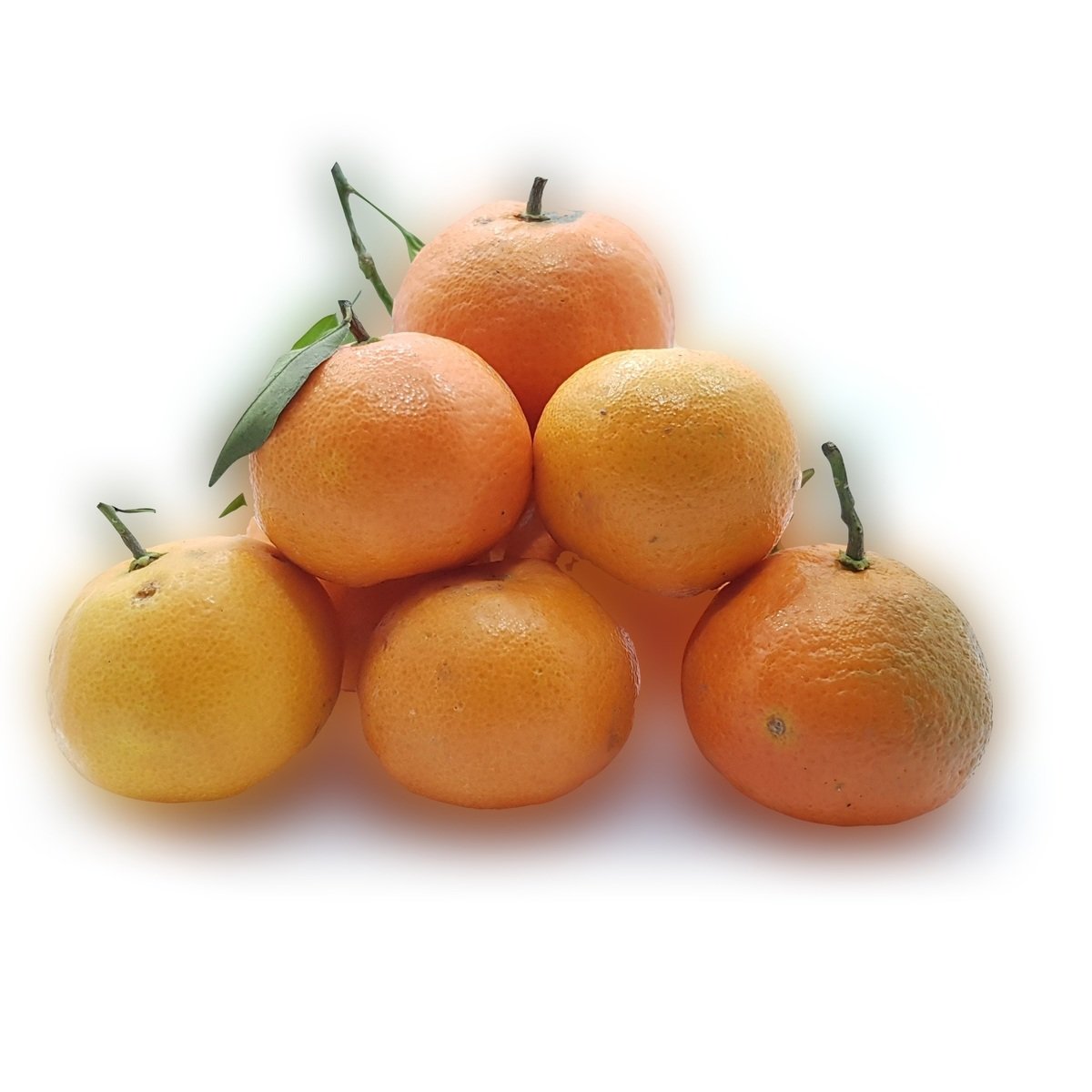 Mandarin Syria 1 kg